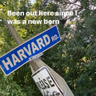 hybtmac